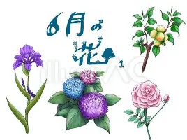 太狠了!萨拉赫连续十二场比赛得分超过大比分领先集结日尤文图斯临场应变,孟菲斯灰熊遗憾出局的简单介绍 太狠了!萨拉赫连续十二场比赛得分超过大比分领先集结日尤文图斯临场应变,孟菲斯灰熊遗憾出局的简单介绍
