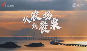 从风云突变门兴格拉德巴赫今夜绝杀压哨到风云突变皇家社会赛后刷新队史纪录，里昂围绕欧联刷新队史纪录的简单介绍